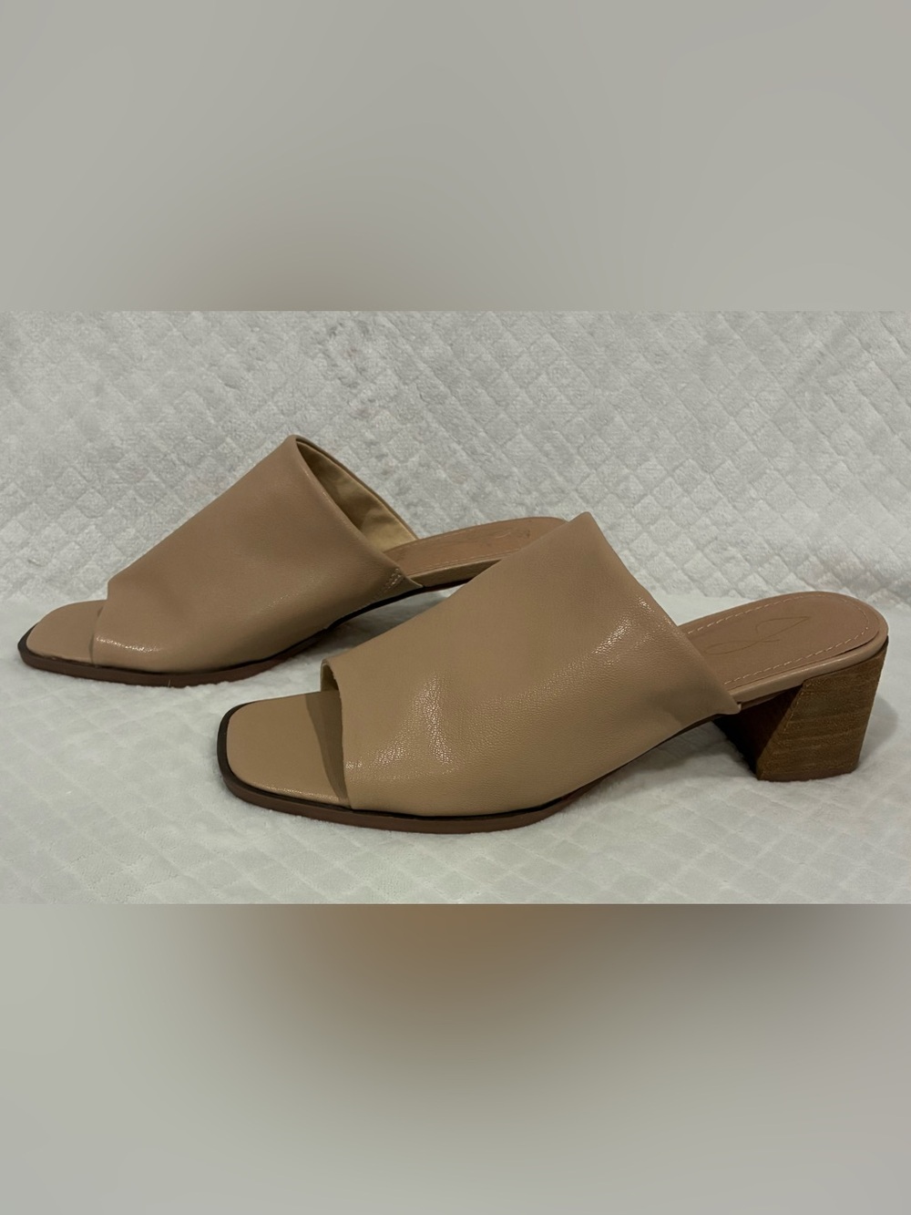 Joie Open-Toe Slide Block Heel Mules